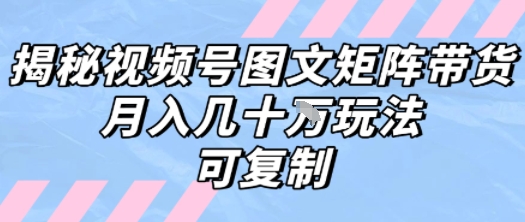 解密视频号图文矩阵带货，月入几个W的打法，可复制|无忧资源社