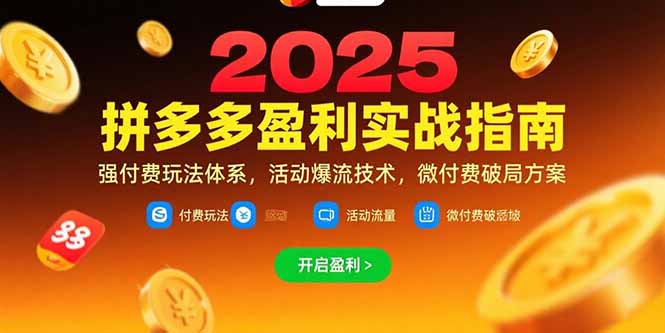 （15357期）拼多多盈利实战指南，强付费玩法，活动爆流技术，微付费破局方案(更新7月)|无忧资源社