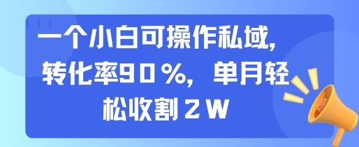 一个小白可操作私域，转化率90%，单月轻松收割2W|无忧资源社