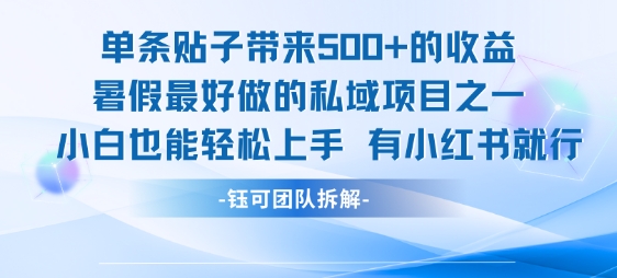 单条贴子带来5张的收益，暑假最好做的私域项目之一，小白也能轻松上手，有小红书就行|无忧资源社