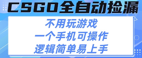 CSGO自动捡漏项目，最新独家玩法，不用挂G不用玩游戏，一个手机即可操作，新手小白轻松月入1W+【揭秘】|无忧资源社
