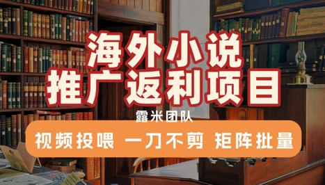 海外小说推广返利项目，视频投喂， 一刀不剪，矩阵批量|无忧资源社