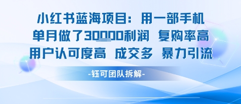 小红书蓝海项目，一部手机单月做了3W利润，小白也能月入过1W用户认可度高成交多|无忧资源社