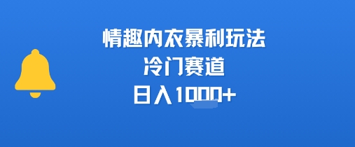情趣内衣暴利玩法，冷门赛道，日入1k+|无忧资源社