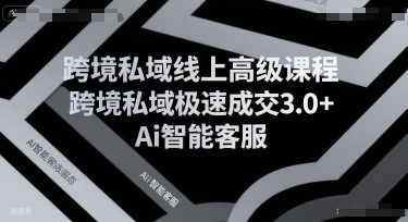 跨境私域线上高级课程，跨境私域极速成交3.0+Ai智能客服|无忧资源社