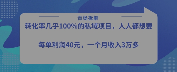 转化率最高的私域项目，每单利润40-50米，月入过1w|无忧资源社
