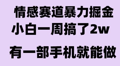 情感暴力掘金项目，新人操作一周挣了2W，长期稳定小白可做【揭秘】|无忧资源社