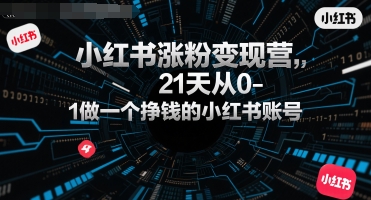 小红书涨粉变现营，21天从0-1做一个挣钱的小红书账号|无忧资源社