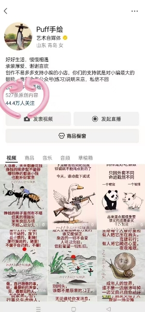 图片[2]|Puff手绘视频号分成项目，三天过分成计划，简单易上手，适合新手|无忧资源社