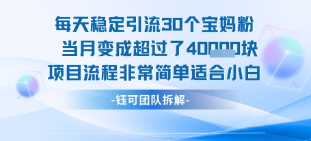 每天稳定引流30个人 当月变成超过了4个W项目流程非常简单适合小白|无忧资源社