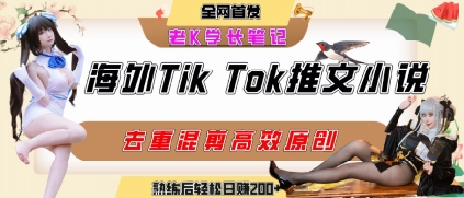 海外tiktok小说推文暴力项目，高停留率，高转化率，上手后一天搞顿饭钱不是问题|无忧资源社
