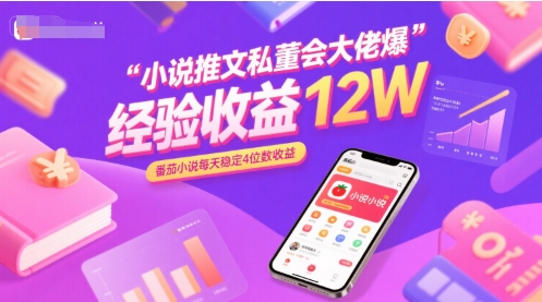 小说推文私董会大佬爆单经验分享收益12W，番茄小说每天稳定4位数收益|无忧资源社