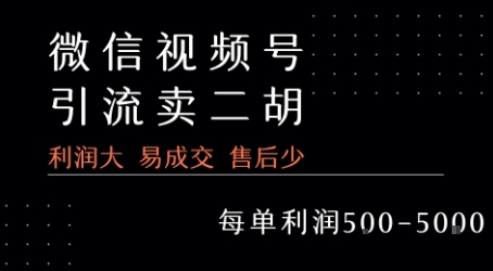 视频号卖二胡教程，利润大 易成交 售后少，一单利润5张+|无忧资源社
