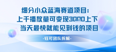 小众蓝海赛道项目：当天变现1k+适合新手操作 +适合长期玩|无忧资源社