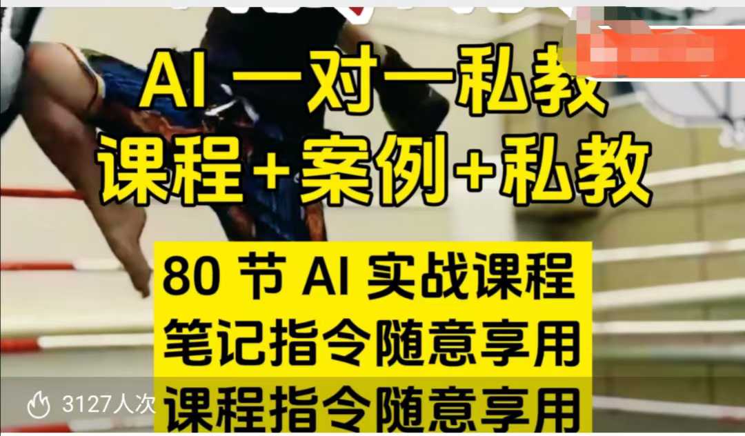 AI指令实战课，课程+案例，80节AI实战课程，笔记指令随意享用，课程指令随意享用（更新7月）|无忧资源社