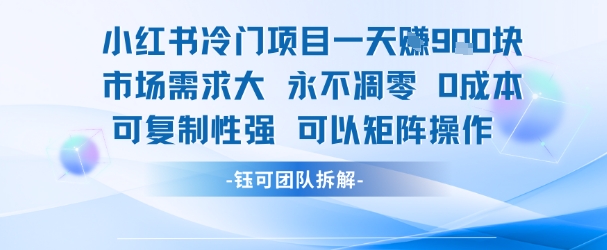 小红书冷门项目一天收益9张，市场需求大，0成本，可复制性强可以矩阵操作|无忧资源社