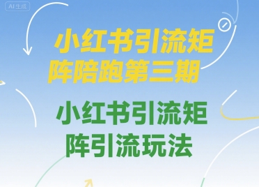 小红书引流矩阵陪跑第三期，小红书引流矩阵引流玩法|无忧资源社