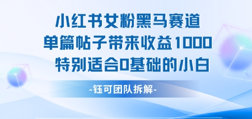 小红书女粉黑马赛道单篇帖子带来收益1k+，特别适合0基础的小白|无忧资源社