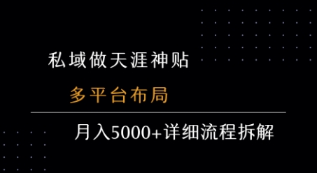 私域做天涯神贴 多平台布局 月入5k+详细流程拆解|无忧资源社