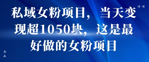 私域女粉项目，当天变现超1k，这是最好做的女粉项目，可放大操作|无忧资源社
