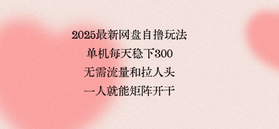 2025最新网盘自撸玩法，单机每天稳下3张，无需流量和拉人头，一个人就可轻松矩阵，全网独一份【揭秘】|无忧资源社