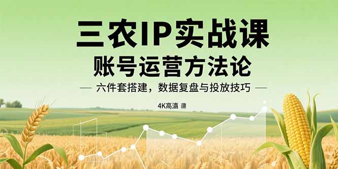 （15864期）三农IP实战课：账号运营方法论，六件套搭建，数据复盘与投放技巧|无忧资源社