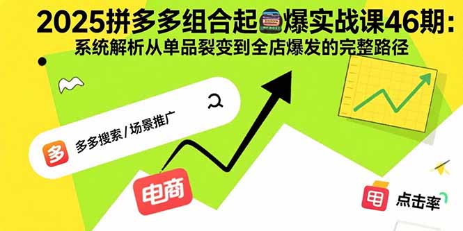 （15816期）2025拼多多组合起爆实战课46期：系统解析从单品裂变到全店爆发的完整路径|无忧资源社