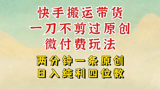 （15577期）快手黑科技搬运带货，一刀不剪过原创，微付费投流玩法，轻松日入四位数…|无忧资源社