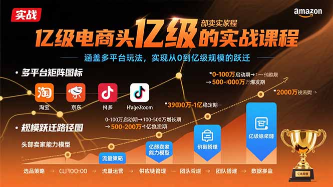 （15803期）亿级电商头部卖家的实战课程：涵盖多平台玩法，实现从0到亿级规模的跃迁|无忧资源社