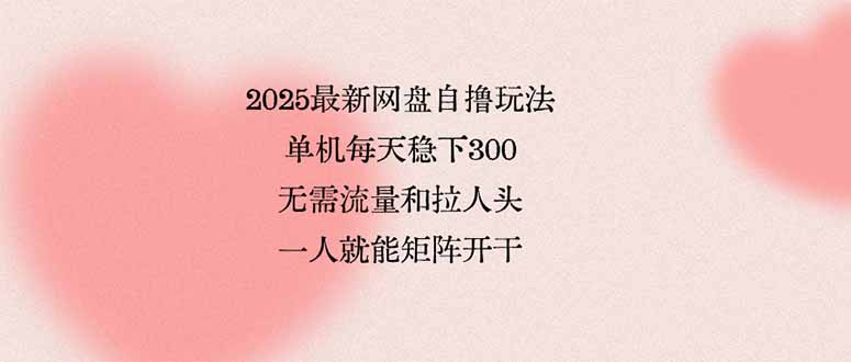 （15831期）2025最新网盘自撸玩法，单机每天稳下3张，无需流量和拉人头，一个人就…|无忧资源社