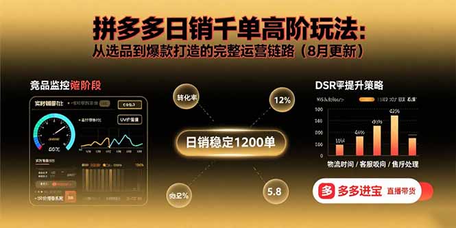（15850期）拼多多日销千单高阶玩法：从选品到爆款打造的完整运营链路（8月更新）|无忧资源社