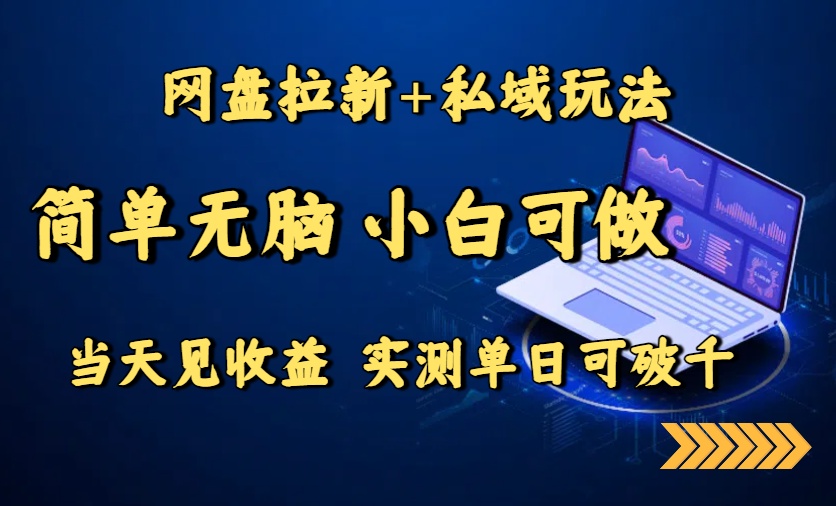 （15744期）网盘拉新+私域玩法，简单无脑，小白可做，当天见收益，实测单日可破千|无忧资源社