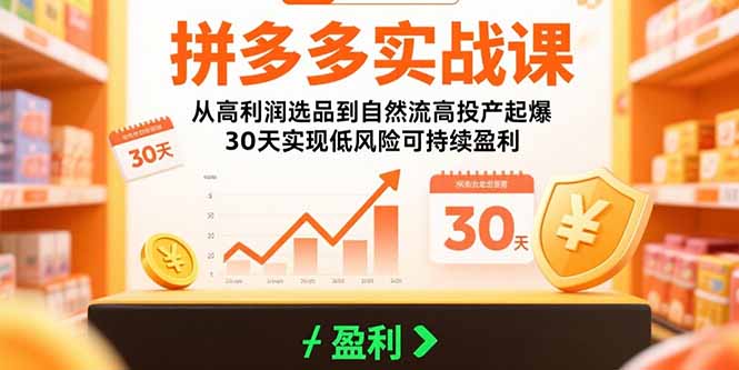 （15586期）拼多多实战课：从高利润选品到自然流高投产起爆 30天实现低风险可持续盈利|无忧资源社