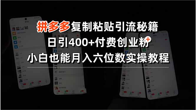 （15613期）拼多多复制粘贴引流秘籍，日引400+付费创业粉，小白也能月入六位数实操…|无忧资源社