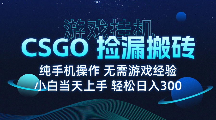 （15820期）8月最新游戏搬砖，CSGO纯挂机，不需要玩游戏，实现真挂机，月入1W+|无忧资源社