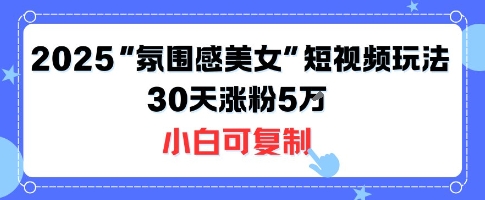 不露脸也能火！2025“氛围感美女”短视频玩法，30天涨粉5W小白可复制|无忧资源社