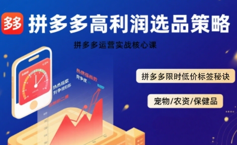 拼多多选品暴利技术实战课，拼多多高利润选品策略，拼多多限时低价标签秘诀|无忧资源社