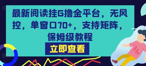 最新阅读挂G撸金平台，无风控，单窗口70+，支持矩阵，保姆级教程【揭秘】|无忧资源社