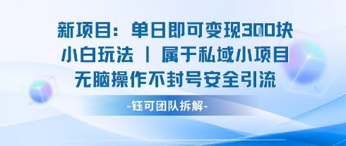 新项目单日即可变现3张的小白玩法无脑操作不封号安全引流|无忧资源社