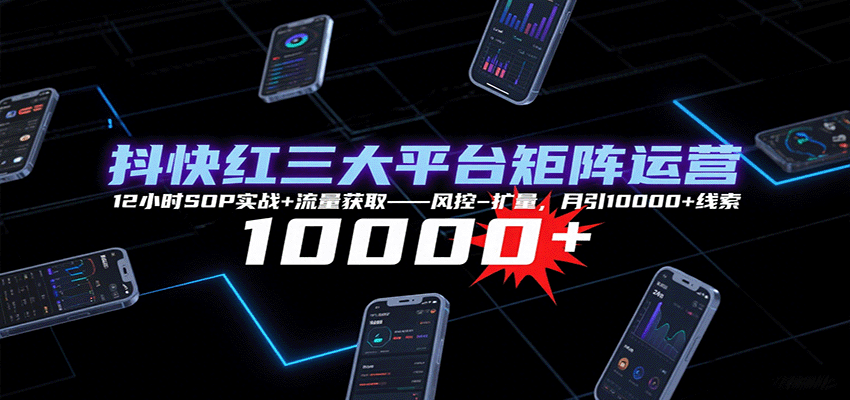 抖快红三大平台矩阵运营，12小时SOP实战+流量获取-风控-扩量，月引10000+线索|无忧资源社