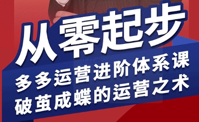 拼多多运营进阶系统课，从零起步，多多运营进阶体系课，破茧成蝶的运营之术|无忧资源社
