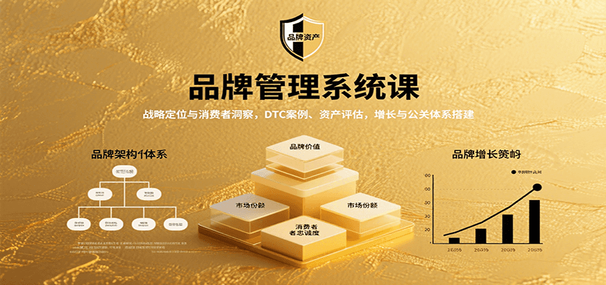 品牌管理系统课：战略定位与消费者洞察，DTC案例、资产评估，增长与公关体系搭建|无忧资源社