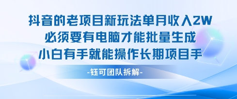 老项目新玩法单月收入2W小白有手就能操作长期项目|无忧资源社