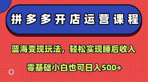拼多多开店运营课程：蓝海变现玩法，轻松实现睡后收入，零基础小白也可日入5张|无忧资源社