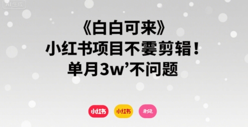 小白可来 小红书项目不需要剪辑 单月3w不是问题|无忧资源社
