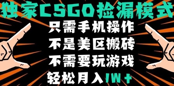 CSGO自动捡漏项目，最新独家玩法，不是美区搬砖，不需要了解和玩游戏，新手小白轻松月入1W+【揭秘】|无忧资源社