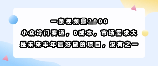 一条视频挣1k，小众冷门赛道，0成本，市场需求大，是未来半年最好做的项目，没有之一|无忧资源社