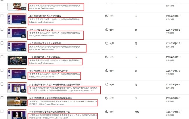 图片[2]|2025油管引流术，分享我是如何通过油管做引流的|无忧资源社