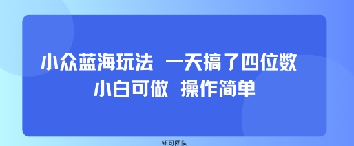 小众蓝海玩法 一天搞了四位数 小白可做 操作简单|无忧资源社