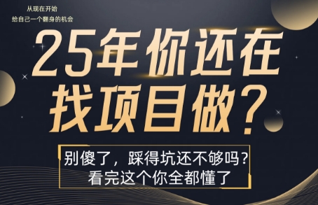 25年，你还在疯狂的找项目吗？别傻了，看完这个你都懂了【揭秘】|无忧资源社